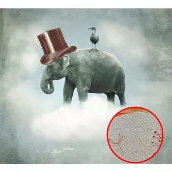 Фреска Ortograf