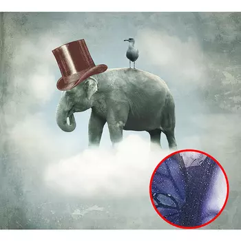 Фреска Ortograf