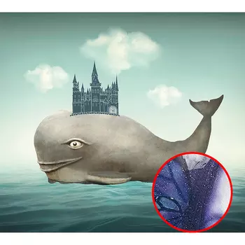 Фреска Ortograf