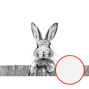 Фреска Ortograf