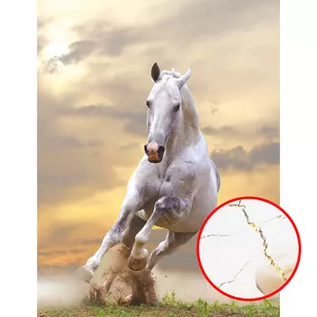 Фреска Ortograf