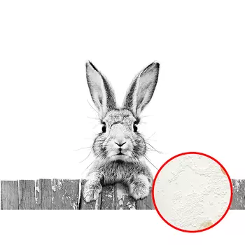 Фреска Ortograf