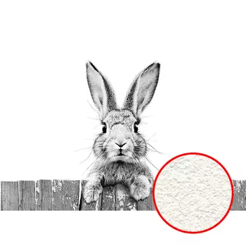 Фреска Ortograf