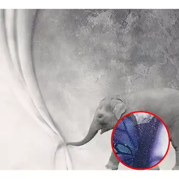 Фреска Ortograf