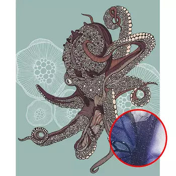 Фреска Ortograf