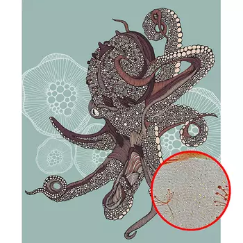 Фреска Ortograf