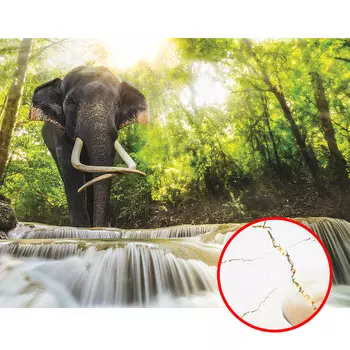 Фреска Ortograf