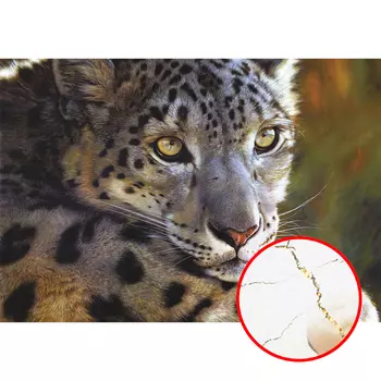 Фреска Ortograf