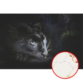 Фреска Ortograf