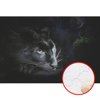 Фреска Ortograf