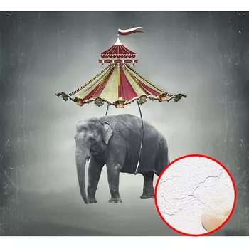 Фреска Ortograf