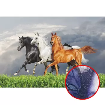 Фреска Ortograf