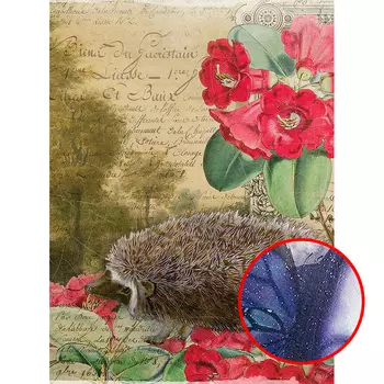 Фреска Ortograf