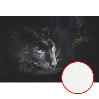 Фреска Ortograf