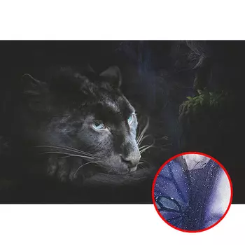 Фреска Ortograf