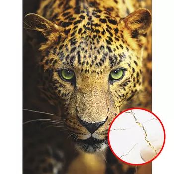 Фреска Ortograf