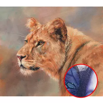 Фреска Ortograf