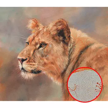 Фреска Ortograf