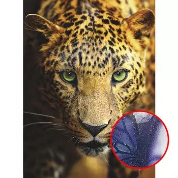 Фреска Ortograf