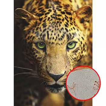 Фреска Ortograf