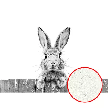 Фреска Ortograf