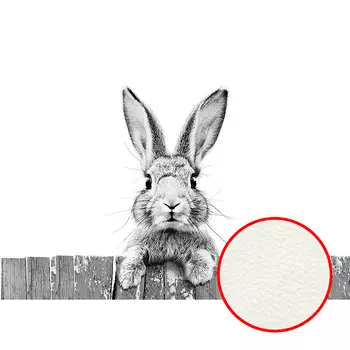 Фреска Ortograf