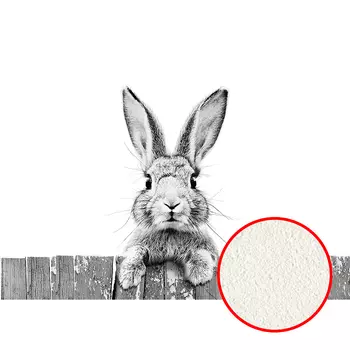 Фреска Ortograf