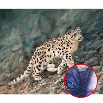 Фреска Ortograf