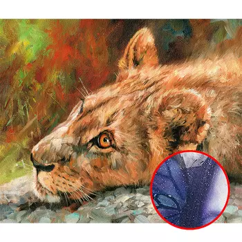 Фреска Ortograf