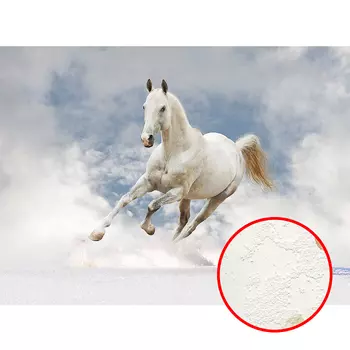 Фреска Ortograf