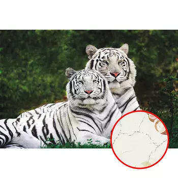 Фреска Ortograf