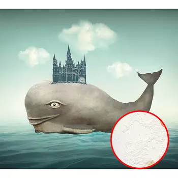 Фреска Ortograf