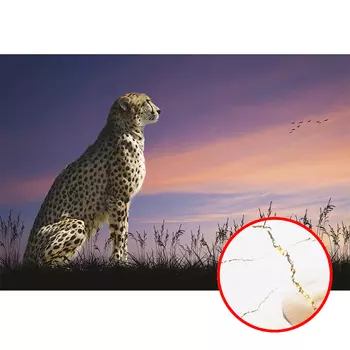 Фреска Ortograf