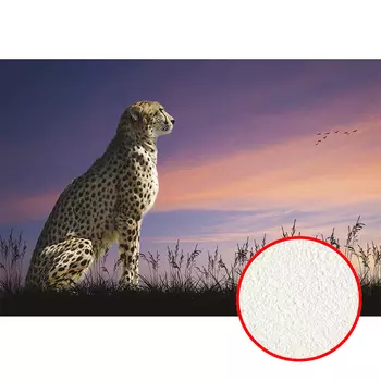 Фреска Ortograf