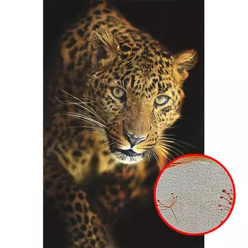 Фреска Ortograf