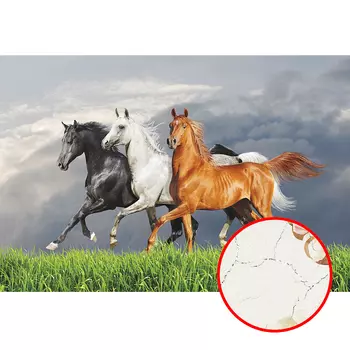 Фреска Ortograf