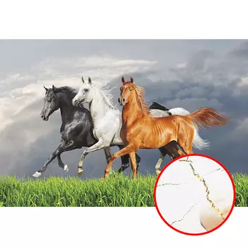 Фреска Ortograf