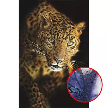 Фреска Ortograf