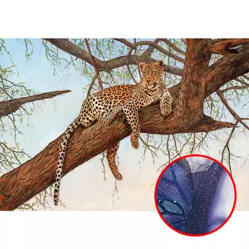 Фреска Ortograf