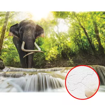 Фреска Ortograf