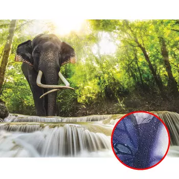 Фреска Ortograf