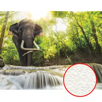 Фреска Ortograf