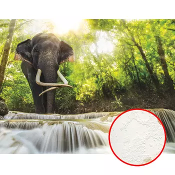 Фреска Ortograf