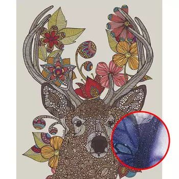 Фреска Ortograf