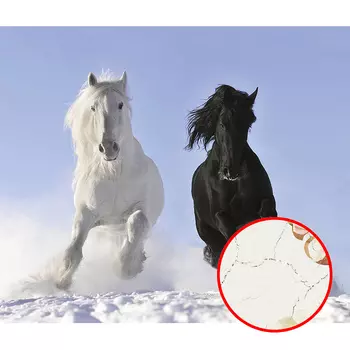 Фреска Ortograf