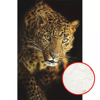 Фреска Ortograf