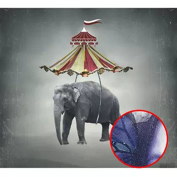 Фреска Ortograf