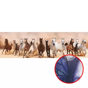 Фреска Ortograf