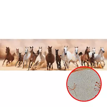 Фреска Ortograf