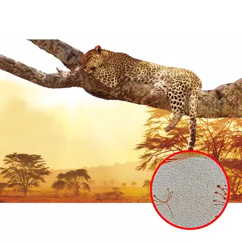 Фреска Ortograf